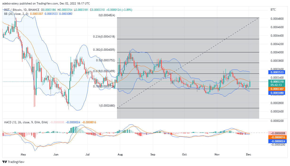 Полкадотын үнийн таамаг өнөөдөр, 3 оны 2022-р сарын XNUMX: DOT/USD тогтвортой өсөлттэй сэргэж байна