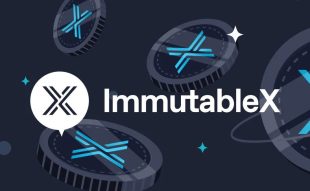 Metaverse Game Studios partners with ImmutableX for upcoming Web3 gaming title