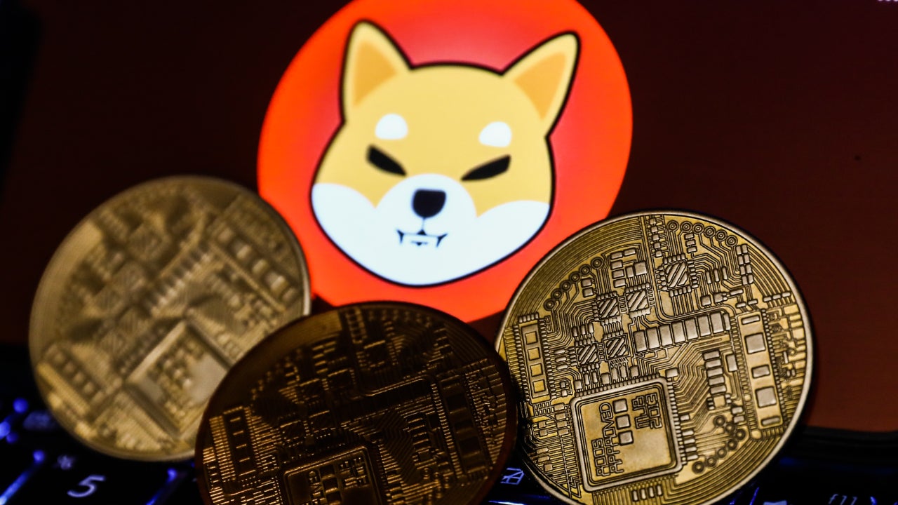 Shiba Inu arendaja krüptiline säuts saadab investorid metsikuks