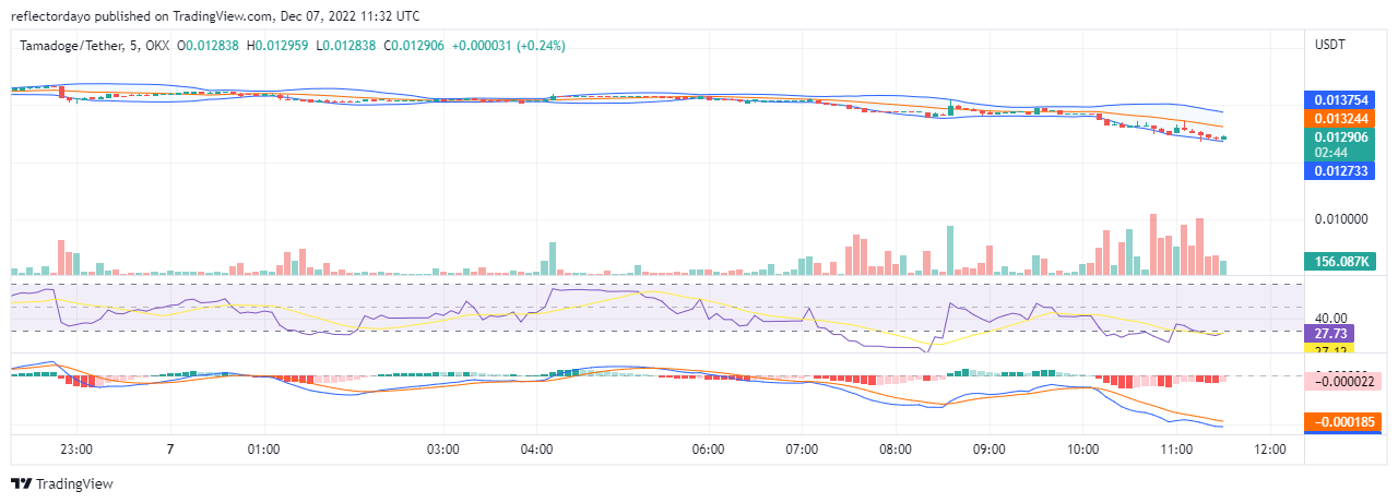 Tamadoge Price Prediction for the 7th of December: The Long-term Outlook on TAMAUSD Is Bright