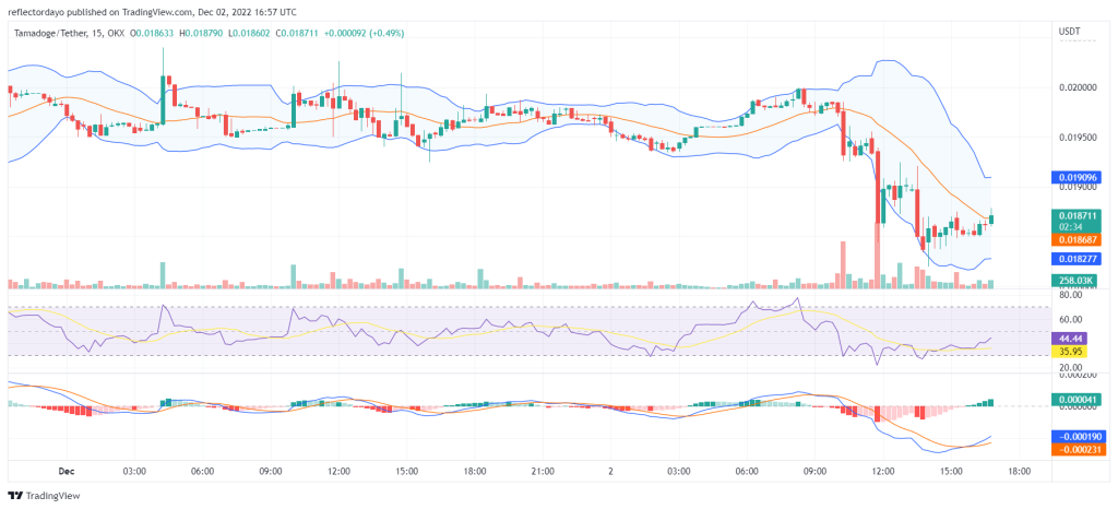 Tamadoge Price Prediction for the 2nd of December: TAMA Remains Attractive to Bulls