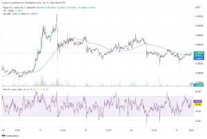 Doge 가격 그래프 17/01/22