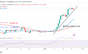 Bitcoin Price Prediction for Today, January 25: BTC Price Maintains Its Upward Trajectory as It Revisits $23K