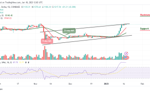 Bitcoin Price Prediction for Today, January 18: BTC/USD Could Touch $22,000 Level; Dips Likely to Play Out