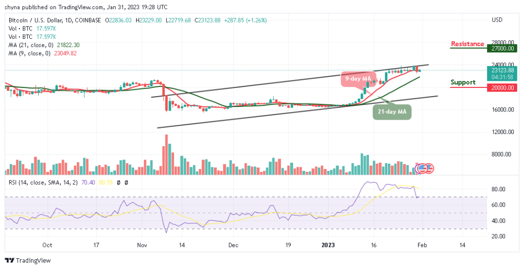 Bitcoin Price Prediction for Today, January 31: BTC/USD Resumes Bullish Signals; Price Could Touch $24k