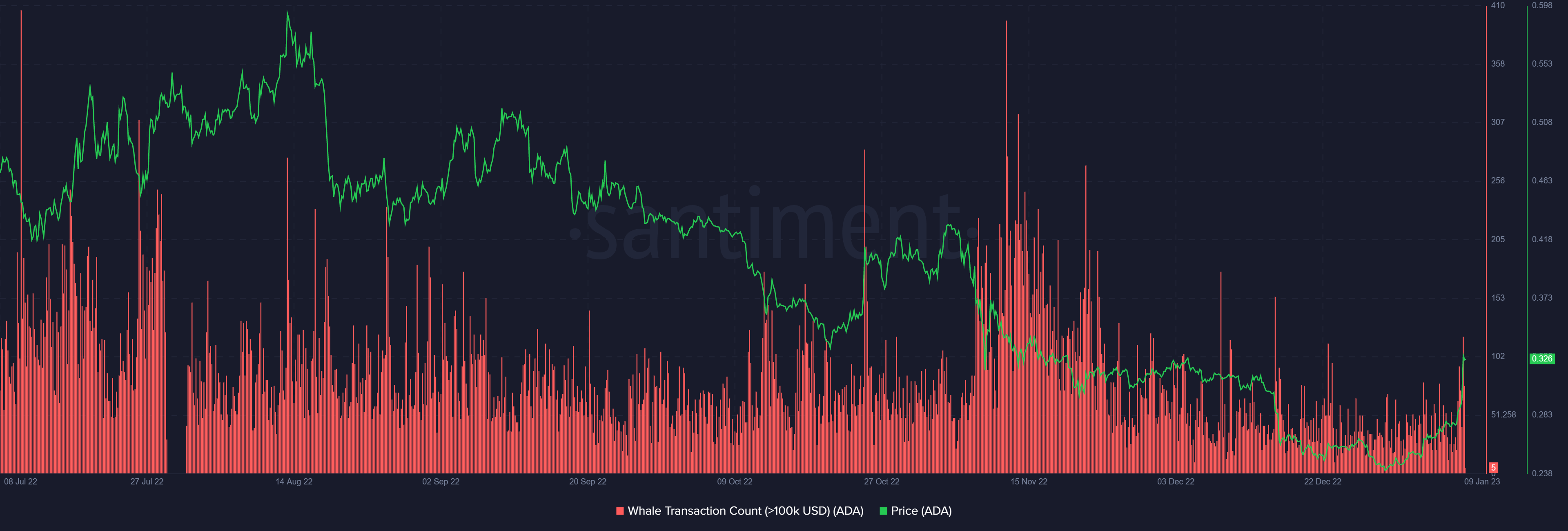 การทำธุรกรรมของ Cardano Whale