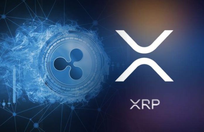 XRP price