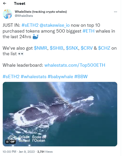 WhaleStats