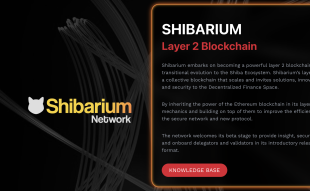 Shibarium launch