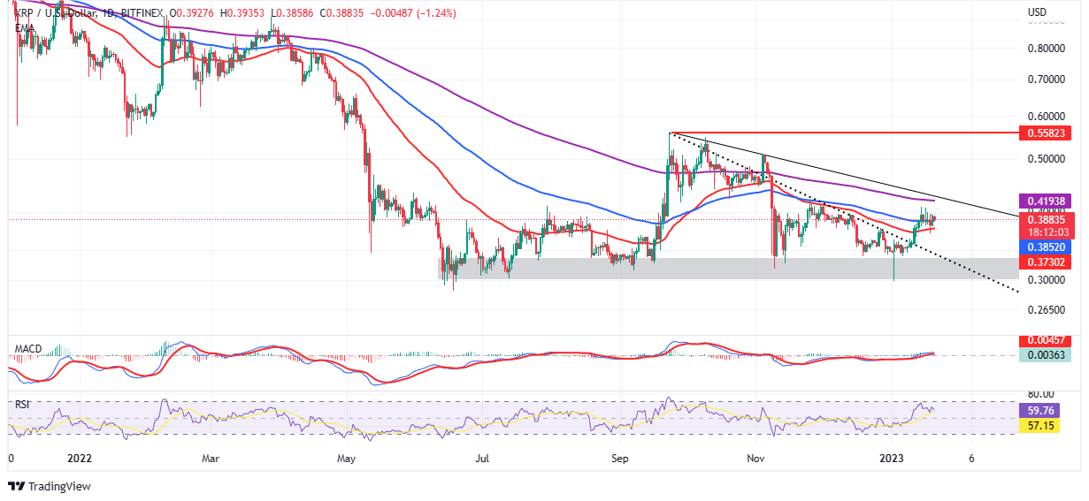 XRP price still bullish