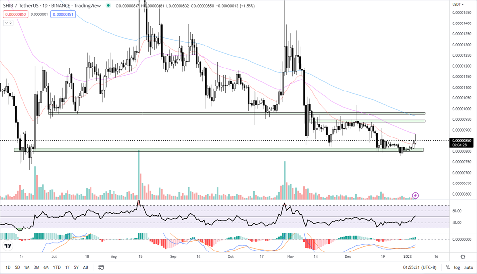 shib price prediction