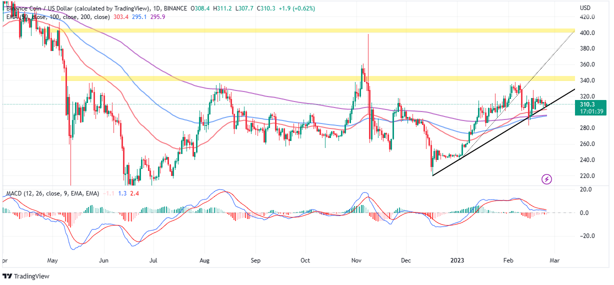 Binance Coin Price