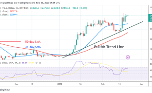 Bitcoin Price Prediction for Today, February 19: BTC Price Recovers as It Re-Enters the $25K Barrier Level