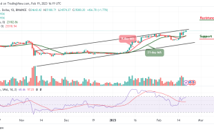 Bitcoin Price Prediction for Today, February 19: BTC/USD Skyrockets to $25,000; Price Could Go Higher