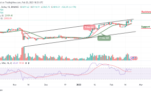 Bitcoin Price Prediction for Today, February 20: BTC/USD Gains 2.17% to Touch $25,114 Level