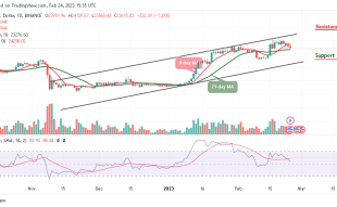 Bitcoin Price Prediction for Today, February 24: BTC/USD Slides Below $24,000 Level