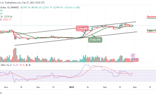 Bitcoin Price Prediction for Today, February 27: BTC/USD Sets to Hit $24k Level