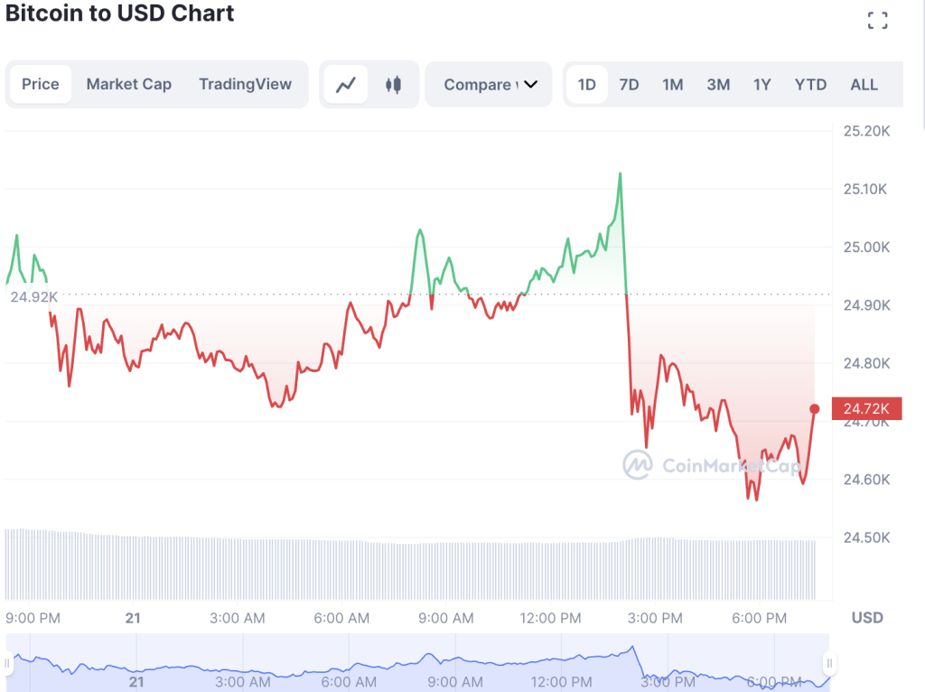 Bitcoin Price Up Slightly To $24,700