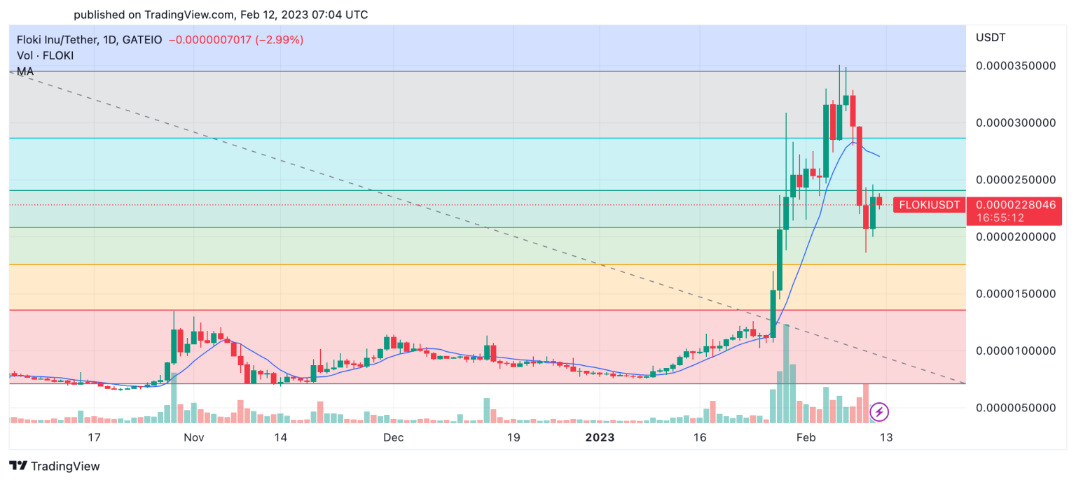 How To Buy Floki Inu In 2024 - Best Cryptocurrency Exchange For FLOKI