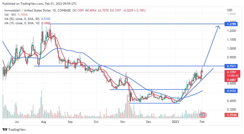 IMX 価格予測