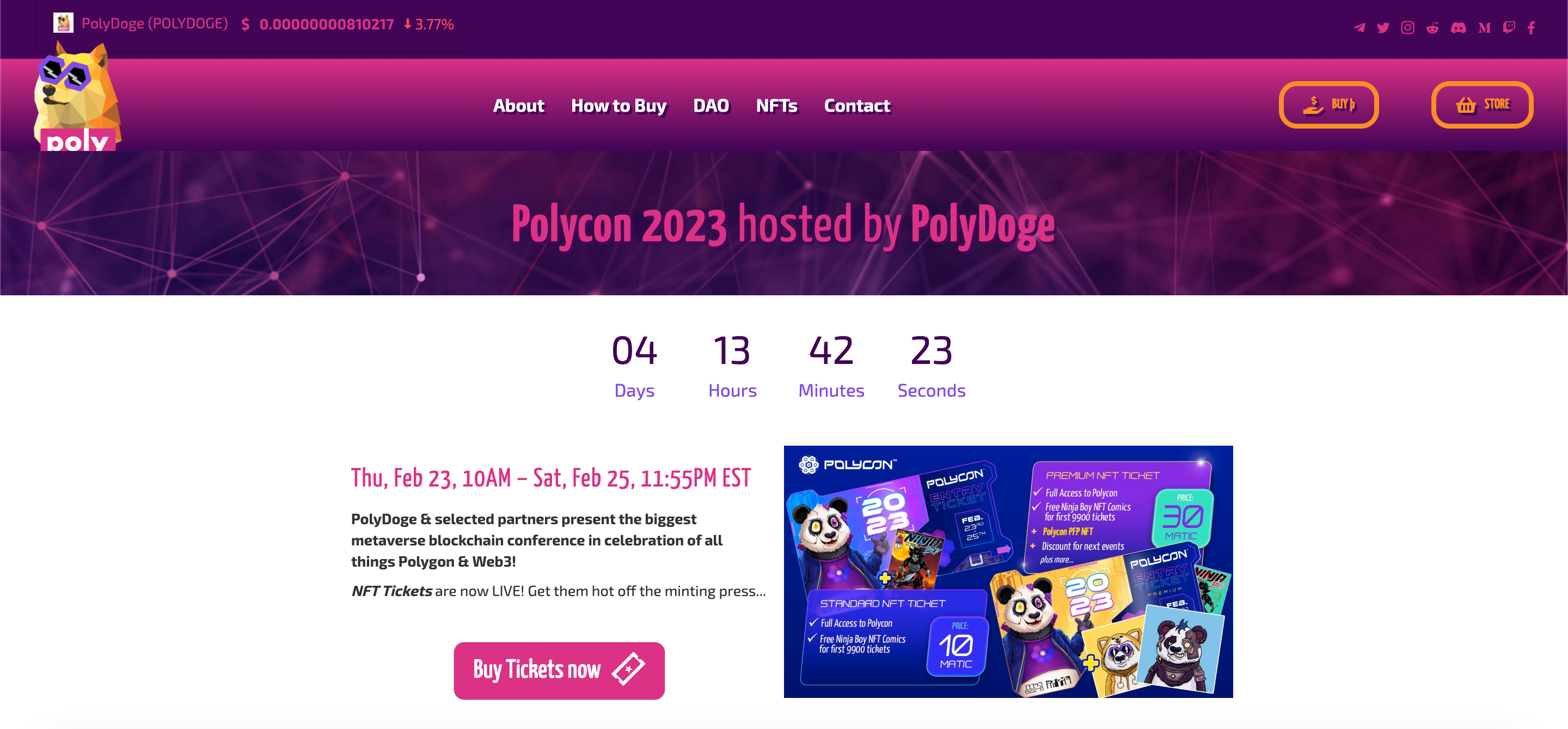 Sitio web de PolyDoge