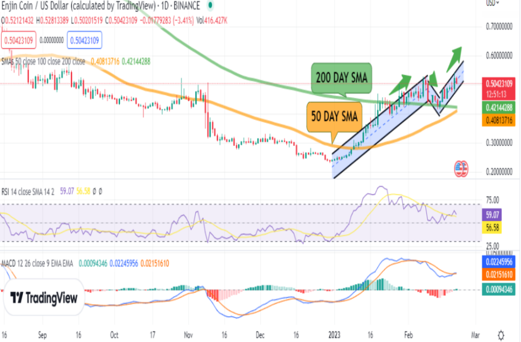 Прагноз кошту манеты Enjin (ENJ): ці ўзляціць ён да 0.542 даляра?