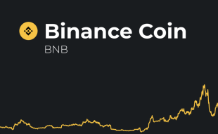 Binance Coin price