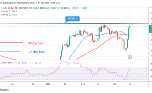 Bitcoin Price Prediction for Today, March 14: BTC Price Is Recovering as It Approaches the $25K Mark