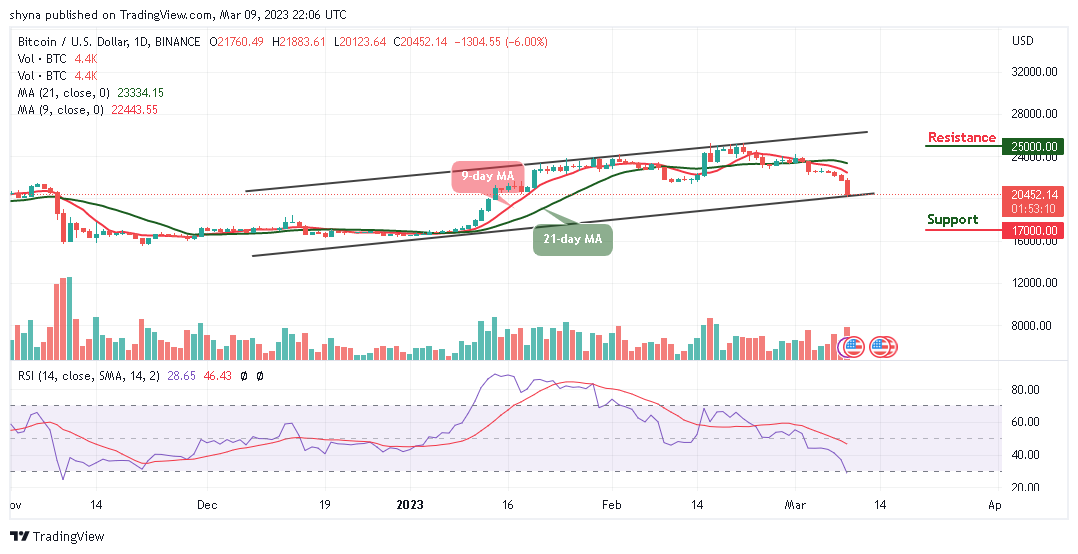 Bitcoin Price Prediction for Today, March 9: BTC/USD Falls Below $20,500; Is that all for Bulls?