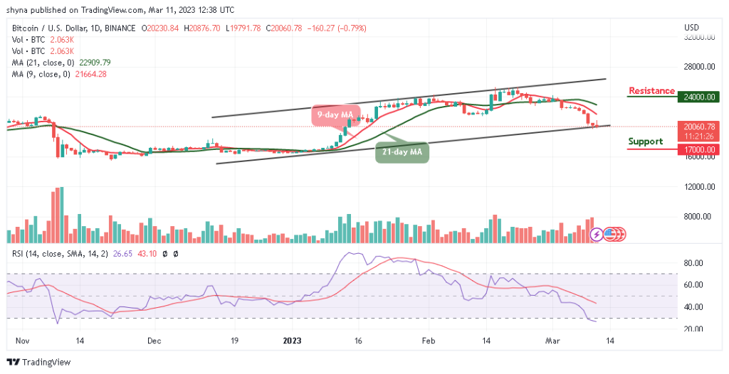 Bitcoin Price Prediction for Today, March 11: BTC/USD Retraces Below $20,000