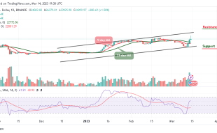 Bitcoin Price Prediction for Today, March 14: BTC/USD Retreats After Trading Above $26k