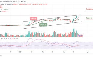 Bitcoin Price Prediction for Today, March 20: BTC/USD Begins Technical Correction as Price Hits $27,313 Support