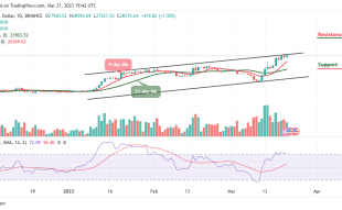 Bitcoin Price Prediction for Today, March 21: BTC/USD Looks for a Direction toward $29k