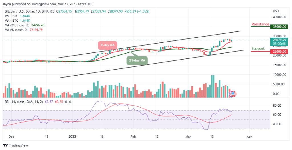 BTCUSD_1D_20032023-1024x526.png