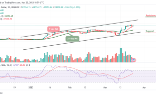 Bitcoin Price Prediction for Today, March 9: BTC/USD Stays Around $28,000 Level