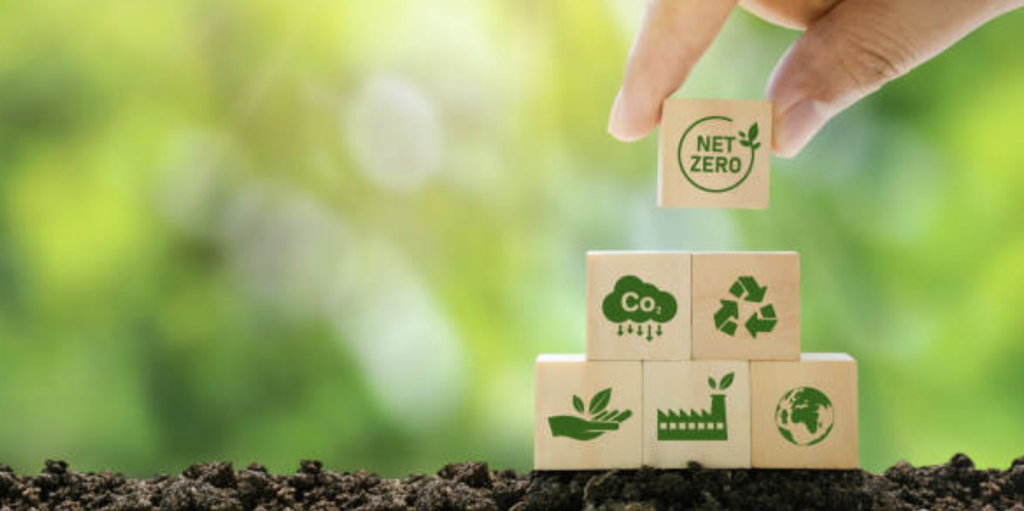 Ecoterra Carbon Offset Marketplace