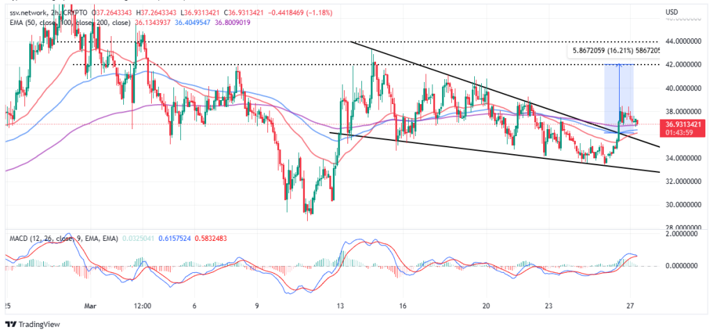 Biggest Crypto Gainers Today, March 27 - MASK, SSV, LHINU, FGHT, CCHG, METRO, TARO