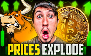 8 Coins to Buy In New Crypto Bull Run