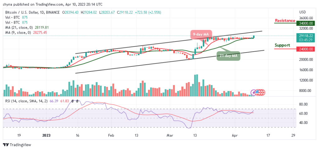 BTCUSD_1D_07042023-1024x483.png