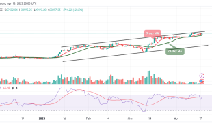 Bitcoin Price Prediction for Today, April 18: BTC/USD May Retrace Above $30,000