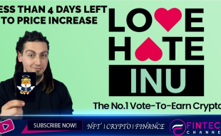 FinTech Channel Reviews Love Hate Inu The Number One Vote-to-Earn Crypto