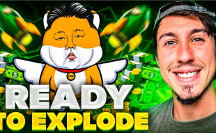 Top Memecoin Ready to Explode - Love Hate Inu Raises $5,300,000