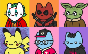 the-cool-cats