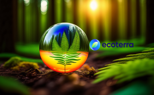 Ecoterra's Recycle-2-Earn Platform