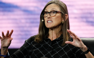 ARK Invest’s Cathie Wood says that the US is Losing the Bitcoin Movement