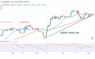 Bitcoin Price Prediction for Today, May 5: BTC's Rising Trend Comes to a Halt below $30K