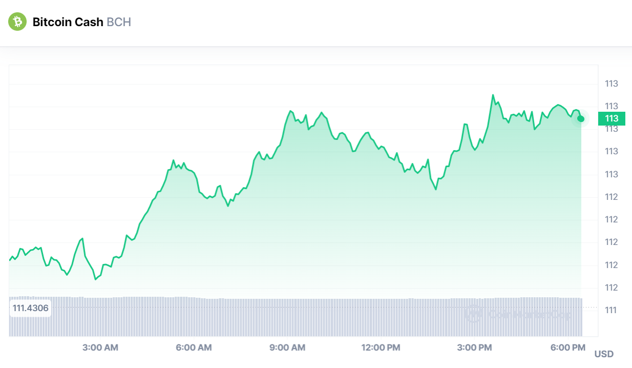 Bitcoin Cash 