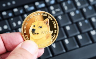 Dogecoin transaction volumes surpass Bitcoin and Litecoin as users mint DRC20 tokens