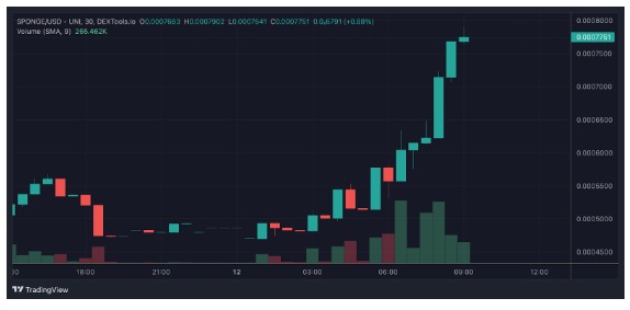 $SPONGE price trading view may 12