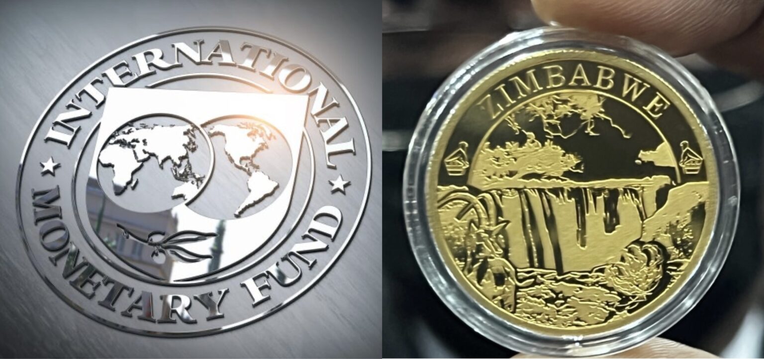 IMF Zimbabwe